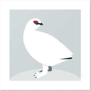 Rock ptarmigan in winter dress Posters and Art